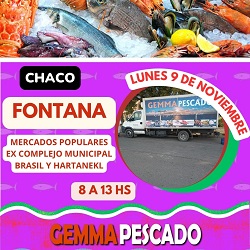 GEMMA Pescados FONTANA 9-11